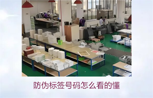 防偽標(biāo)簽號(hào)碼怎么看的懂？詳細(xì)解析防偽標(biāo)簽號(hào)碼的識(shí)別方法與技巧(圖2)