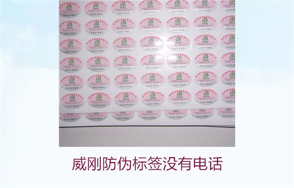 威剛防偽標(biāo)簽沒有電話，如何通過其他方式驗證威剛防偽標(biāo)簽的真?zhèn)?圖3)